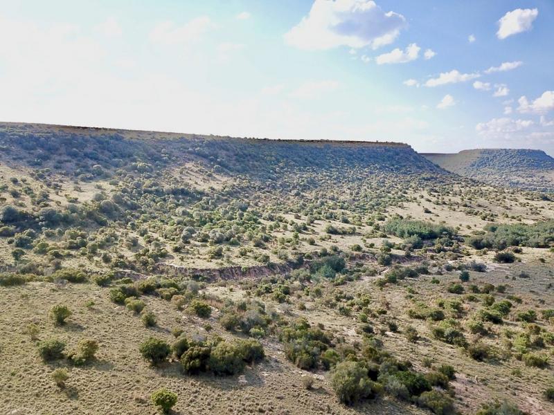 20 Bedroom Property for Sale in Paul Roux Free State